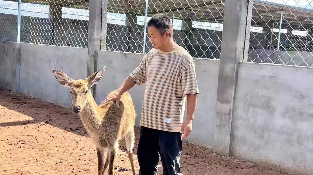 澳门幸运6玩法